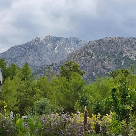 别墅 Beysvillas - E *