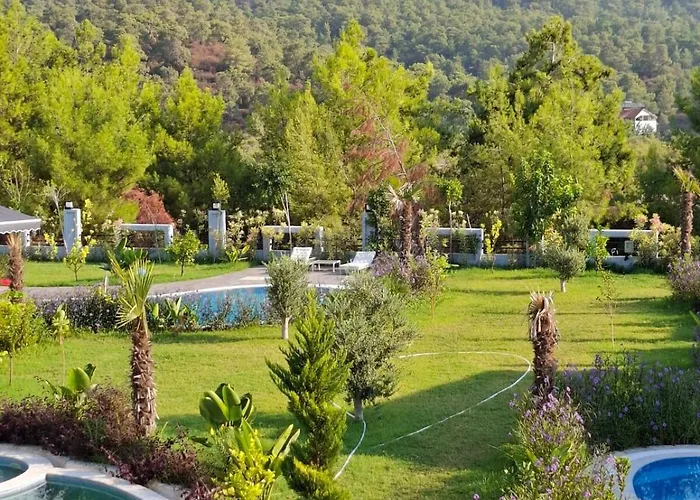 Beysvillas - E 빌라