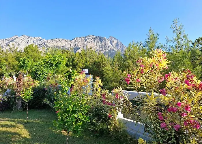 빌라 Beysvillas - E 케메르