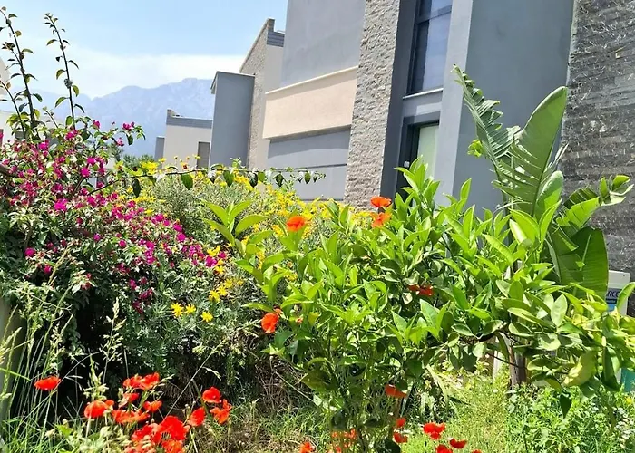 Beysvillas - E 빌라 케메르