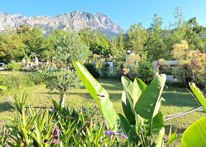 Beysvillas - E 빌라 *