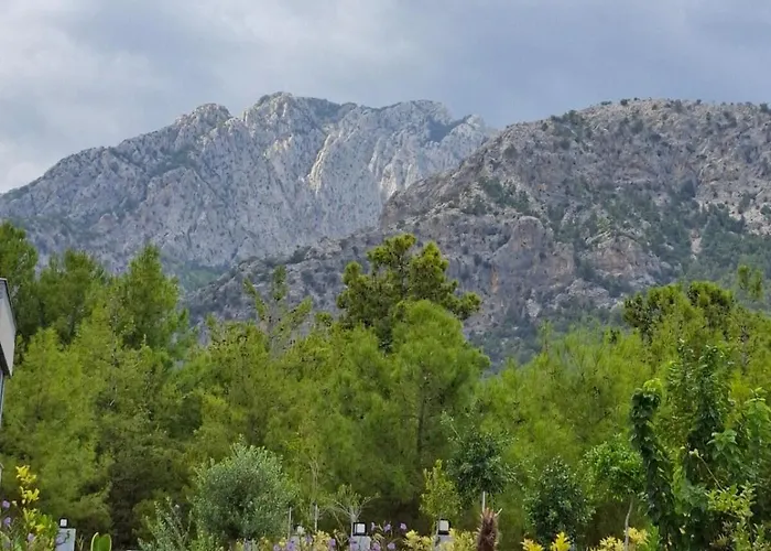 빌라 Beysvillas - E *