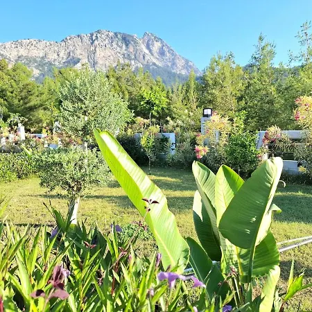 Beysvillas - E Villa *